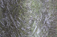 Middlehill fibreglass roof work